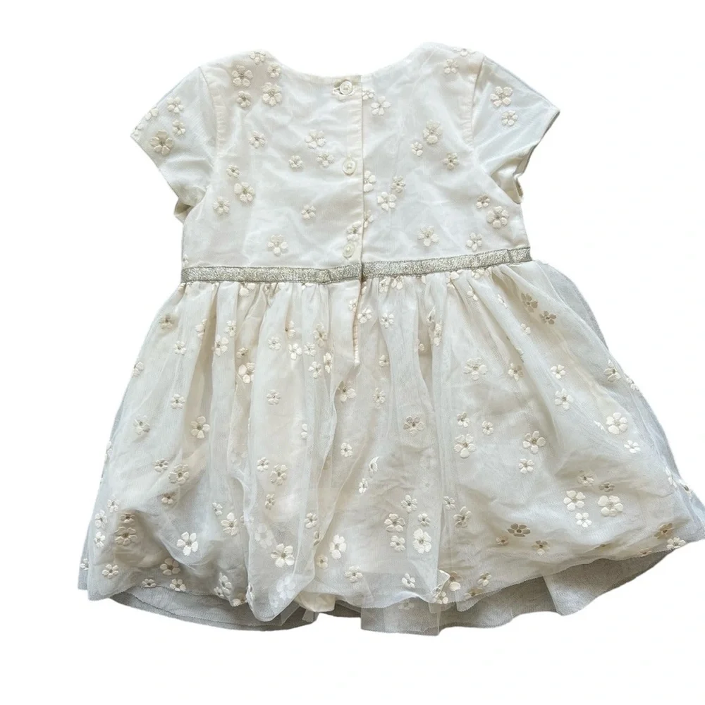 OshKosh Baby Girl Floral Tulle Dress | 18M